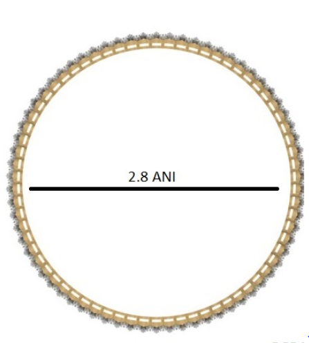 BANGLE